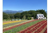 ◎WEB予約でリボンポイント2ポイント◎【多治見発】*日帰り昼食付*『飛騨三大名物膳と福井の秘境 九頭竜』2